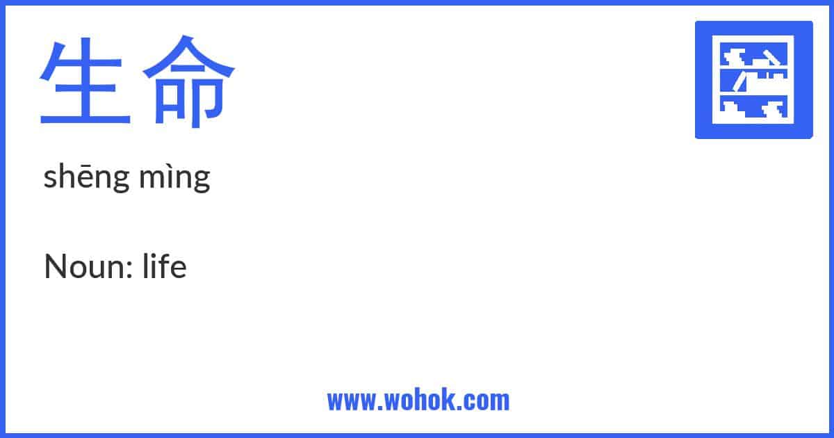 Learning card for Chinese word 生命 with Pinyin and English Translation